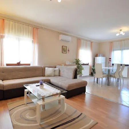 Cekić - Roj507 *