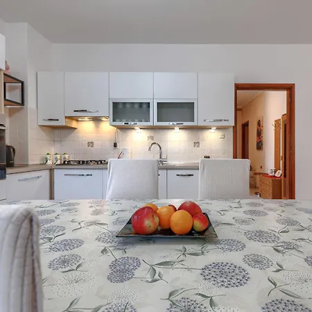 Cekić - Roj507 Apartament *